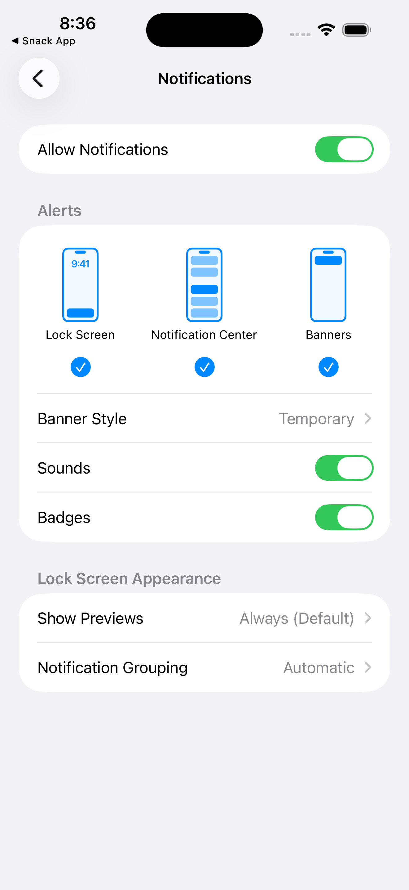 iOS Settings → Snack App → Notifications, with Allow Notifications turned on