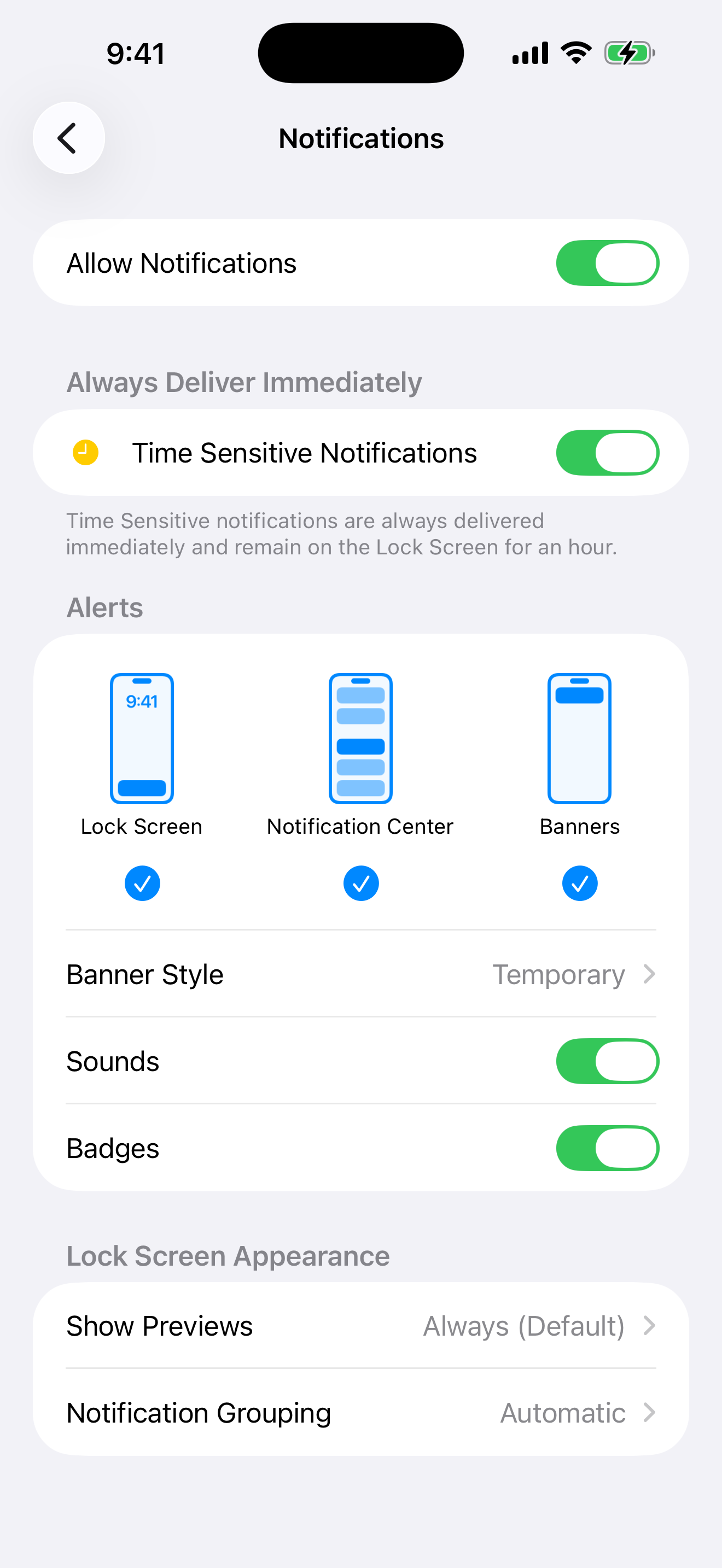 iOS Settings → Notifications → Snack App, with Allow Notifications and Time Sensitive Notifications both on
